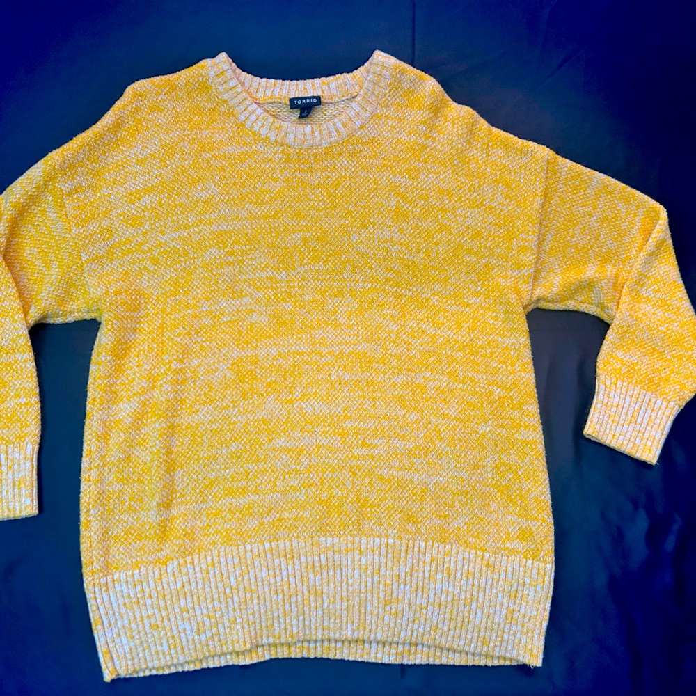 Torrid Knit Sweater
